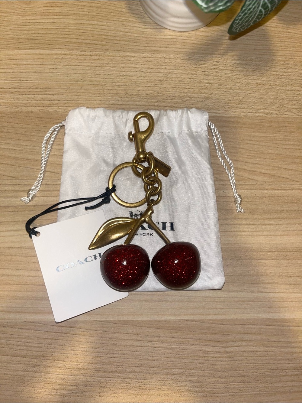 Coach Cherry Bag Charm